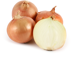 Лук репчатый