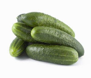 Огурцы короткоплодные