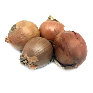 Лук репчатый Эконом