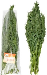 Укроп свежий Глобус