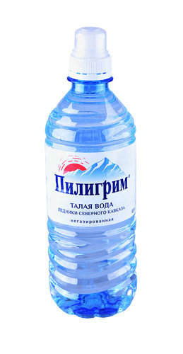 Пилигрим 1.5 литра. Питьевая вода Пилигрим 0,5л. Вода питьевая ГАЗ Пилигрим 0,5л ПЭТ. Вода «Пилигрим» 0.5 л.. Вода Пилигрим 0.5.