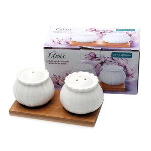 Набор для специй фарфоровый Aerix (Аэрикс) TM Atmosphere (Атмосфир)