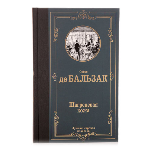 Книга: Шагреневая кожа