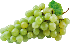 Виноград зеленый без косточки