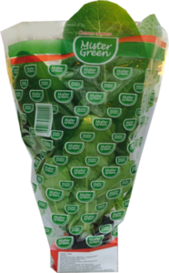 Салат Ромэн в горшочке