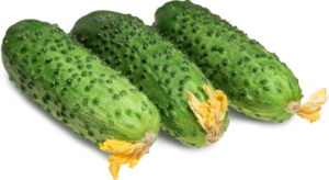 Огурцы корнишоны фасованные в упаковке ТМ Лента Green (Грин)