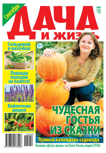 Журнал дача и дачники. Книги дачника. Журналы дача огород. Журналы дача огород. Журналы про огород и дачу.
