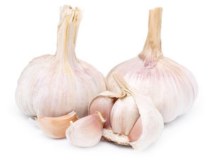 Чеснок