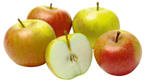 Яблоки Сезонные Фото