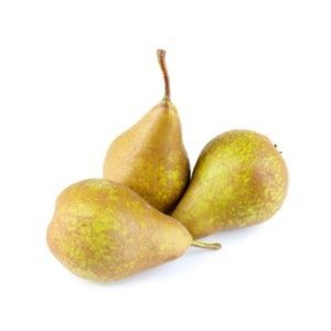 Груша Конференц