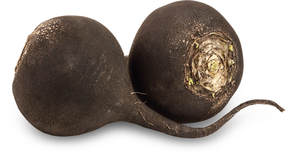 Редька черная Редька черная