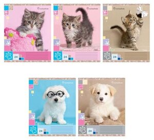 Тетрадь школьная Rachael Hale А5 в клетку 24 л ТМ Академия