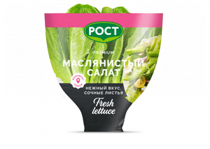 Салат Маслянистый ТМ Агрохолдинг Московский
