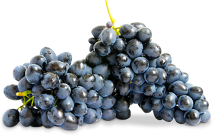 Виноград черный
