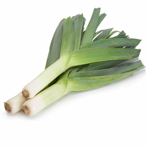 Лук порей