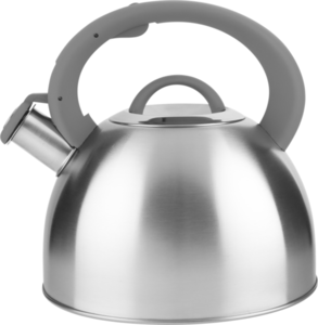 Чайник Homeclub со свистком, ручка soft-touch, нержавеющая сталь, индукция, 3 л