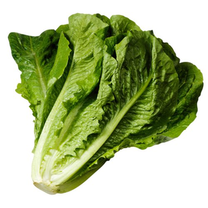 Салат Ромейн свежий