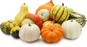 Тыква декоративная мини микс