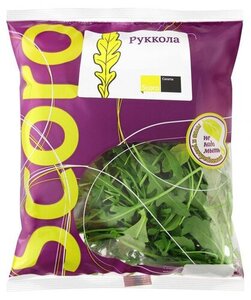 Салат Руккола