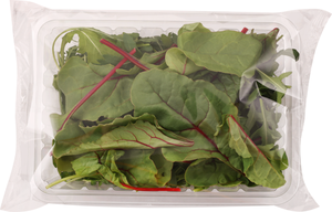 Салат Руккола Мангольд