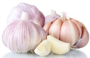 Чеснок новый урожай