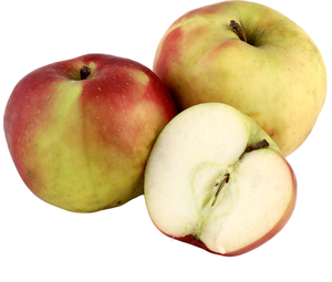 Яблоки бессемянка мичурина