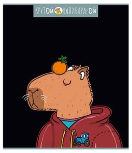Тетрадь общая ПЗБМ Капибара клетка А5, 48 л