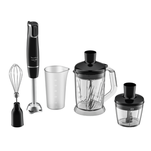 Погружной блендер Moulinex Infiny Force V2 DD94L810